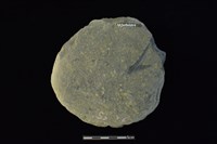 石圓片藏品圖，第2張