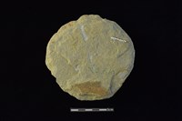 石圓片藏品圖，第2張