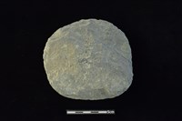 石圓片藏品圖，第1張