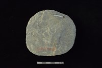 石圓片藏品圖，第2張