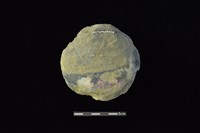 石圓片藏品圖，第2張