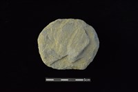 石圓片藏品圖，第1張