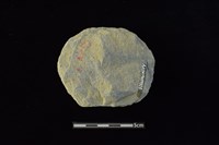 石圓片藏品圖，第2張