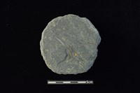 石圓片藏品圖，第1張