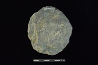 石圓片藏品圖，第2張