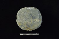 石圓片藏品圖，第2張