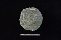 石圓片藏品圖，第2張