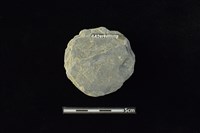 石圓片藏品圖，第2張