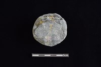 石圓片藏品圖，第2張