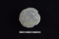 石圓片藏品圖，第2張