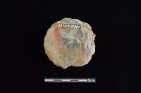 石圓片藏品圖，第2張