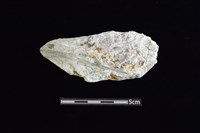 玉料藏品圖，第1張