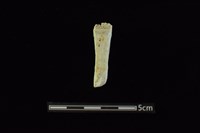 玉料藏品圖，第1張