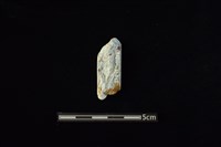 玉料藏品圖，第2張