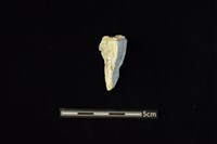 玉料藏品圖，第2張