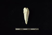 玉料藏品圖，第2張