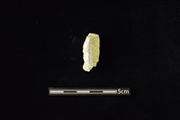 玉料藏品圖，第2張