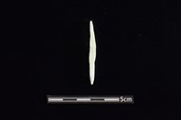 玉料藏品圖，第1張