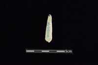 玉料藏品圖，第2張