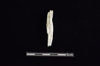 玉料藏品圖，第2張