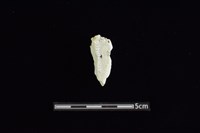 玉料藏品圖，第2張