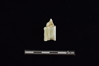 玉料藏品圖，第2張