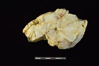 石材藏品圖，第1張