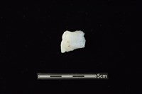 石材藏品圖，第2張