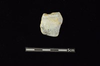 石材藏品圖，第2張