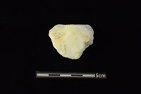 石材藏品圖，第2張