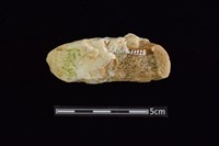 石材藏品圖，第2張