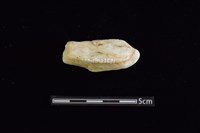 石材藏品圖，第2張