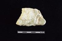 石材藏品圖，第1張