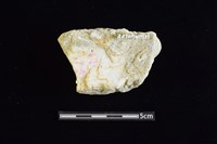 石材藏品圖，第2張