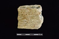 石材藏品圖，第1張