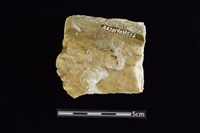 石材藏品圖，第2張