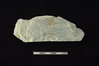 石材藏品圖，第1張