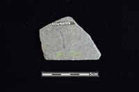 石材藏品圖，第2張