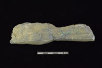 石鎚藏品圖，第2張