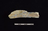 石鎚藏品圖，第1張