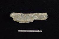 石鎚藏品圖，第2張