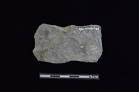 石器殘件藏品圖，第2張