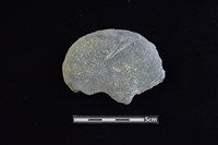 石圓片藏品圖，第1張