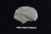 石圓片藏品圖，第2張