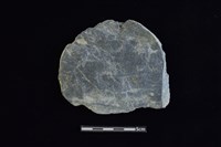 石圓片藏品圖，第1張