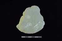石器殘件藏品圖，第1張