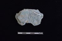 穿孔石板藏品圖，第2張