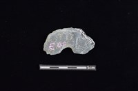 穿孔石板藏品圖，第2張