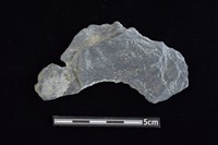 穿孔石板藏品圖，第1張