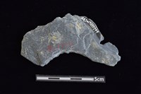 穿孔石板藏品圖，第2張